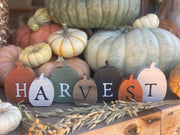 Harvest Pumpkin Cutout Fall Sitter