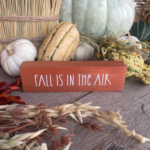 Fall Air Sitter