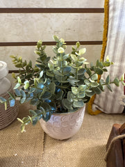 Potted Plant
