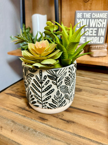 Large Potted Succulent