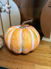 Autumn Pumpkin