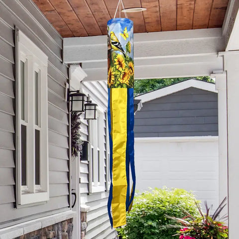 Windsock