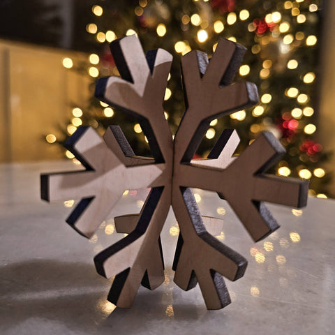 3D Snowflake